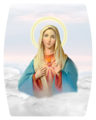 DAREC 108 WT Immaculate Heart Clouds White